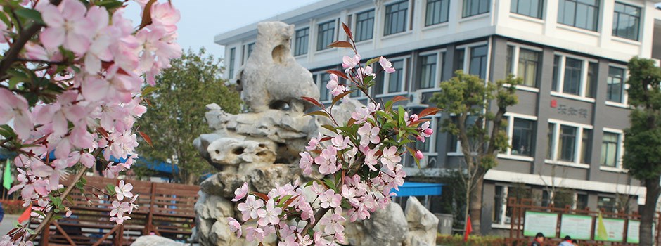 常熟市杨园中心小学